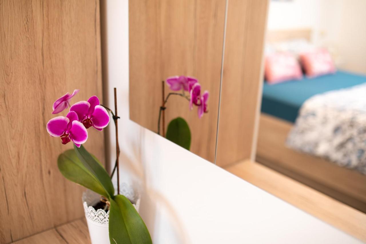 Apartman Jelena 비르브닉 외부 사진